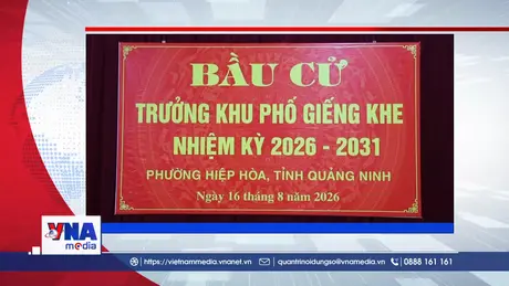 Trạm tin số chiều 16/8: Rộn ràng ngày bầu cử trưởng thôn, bản, khu phố ở Quảng Ninh