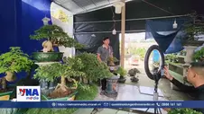Vĩnh Long triển khai mô hình “Xã Thương mại điện tử – Chợ Lách vươn mình”