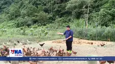 Tuổi trẻ khởi nghiệp từ lợi thế quê nhà