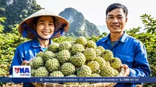 Na núi đá – sinh kế trên vùng đất khó