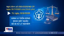 Trốn đóng BHXH bắt buộc có thể bị phạt đến 150 triệu đồng