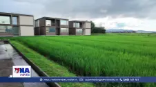 Mô hình nghỉ dưỡng độc đáo giữa những cánh đồng lúa