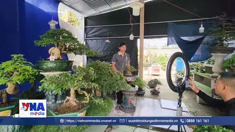 Vĩnh Long triển khai mô hình “Xã Thương mại điện tử – Chợ Lách vươn mình”