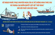 Kế hoạch khắc phục khuyến nghị của EC về chống khai thác IUU và Tháng cao điểm quyết liệt gỡ “thẻ vàng” đối với thủy sản Việt Nam