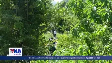 Bền bỉ giữa đại ngàn, tìm đưa liệt sĩ về với đất mẹ