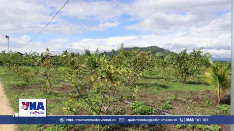 Đánh thức tiềm năng “địa chỉ đỏ” Nông trại Phạm Văn Đồng