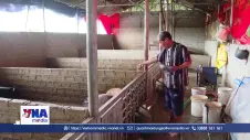 Chăn nuôi an toàn sinh học để chủ động phòng dịch