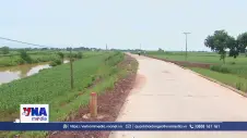 Thanh Hóa tập trung bảo vệ đê điều mùa mưa lũ