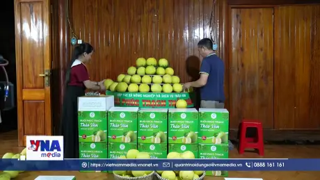 Nhộn nhịp chuẩn bị hàng hóa cho hội chợ miền Trung - Tây Nguyên