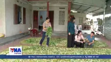 Tín hiệu vui từ những mô hình kinh tế mới ở Văn Lang