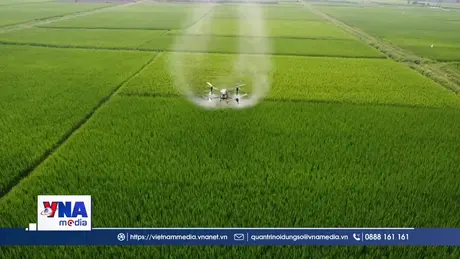 Ứng dụng máy bay không người lái vào sản xuất nông nghiệp