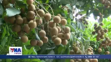 Tiếp nối và nâng tầm tri thức nhãn lồng Hưng Yên