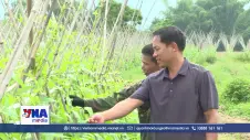 Điện Biên hướng tới nền nông nghiệp xanh, bền vững