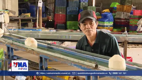 Đồng Tháp phát triển chuỗi giá trị từ ngành dừa