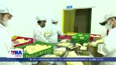 Xây dựng hệ sinh thái sầu riêng phát triển bền vững