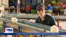 Đồng Tháp phát triển chuỗi giá trị từ ngành dừa