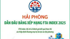 Hải Phòng dẫn đầu bảng xếp hạng FTA Index 2025