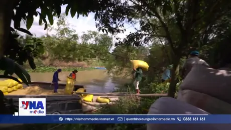 Tổ chức lại chuỗi giá trị, thu hút đầu tư vào nông nghiệp