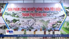 Hội chợ Miền Trung - Tây Nguyên: Kết nối và nâng tầm sản phẩm nông thôn.
