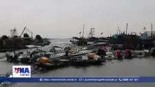 Quảng Ninh chủ động phòng chống bão số 4