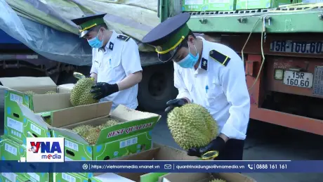 Lạng Sơn nâng năng lực thông quan nông sản