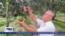Vĩnh Long thúc đẩy tiêu thụ nông sản trên nền tảng số