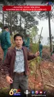Lâm Đồng: Trồng thêm rừng tại những nơi có nguy cơ bị lấn chiếm đất