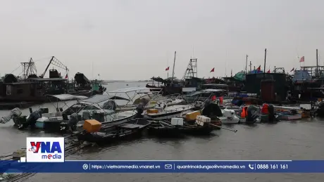 Quảng Ninh chủ động phòng chống bão số 4