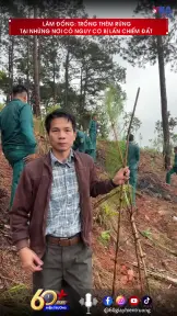 Lâm Đồng: Trồng thêm rừng tại những nơi có nguy cơ bị lấn chiếm đất