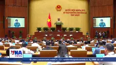 Quốc hội thông qua hai luật liên quan đến quốc phòng - an ninh