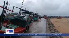 Bão số 4: Hải Phòng chạy đua tiêu úng, bảo vệ sản xuất nông nghiệp