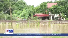 Thái Nguyên: Ngập úng nhiều khu dân cư ven sông Cầu