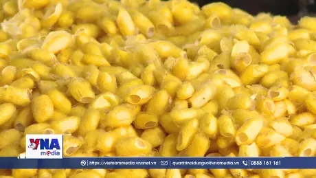 Từ Thủ Phủ Dâu Tằm Đến 