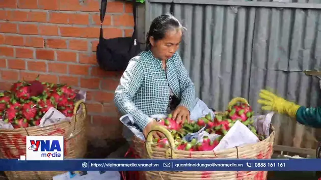 Phụ nữ Đồng Tháp được tiếp sức phát triển kinh tế