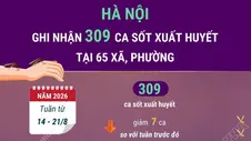 Hà Nội ghi nhận 309 ca mắc sốt xuất huyết tại 65 xã, phường