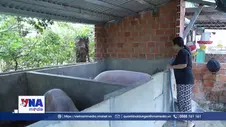Vỗn chính sách giúp người chấp hành xong án phạt tù tạo dựng sinh kế
