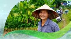 💚 Việt Nam xanh & phát triển bền vững 2: Giảm phát thải từ những mùa vàng