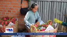 Phụ nữ Đồng Tháp được tiếp sức phát triển kinh tế