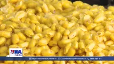 Từ Thủ Phủ Dâu Tằm Đến 