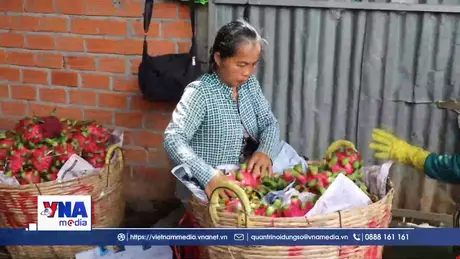 Phụ nữ Đồng Tháp được tiếp sức phát triển kinh tế