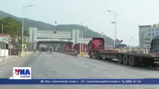 Không để gián đoạn hoạt động thông quan hàng hóa