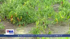 Thiệt hại hàng tỷ USD mỗi năm do lãng phí thực phẩm