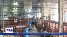 Phát triển kinh tế từ mô hình chăn nuôi tuần hoàn