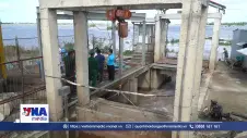 Mở cống xả nước lũ vào đồng ruộng để lấy phù sa