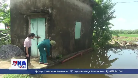 Hưng Yên khẩn trương tiêu úng, giảm thiểu thiệt hại lúa do mưa lớn