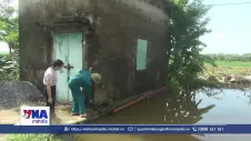 Hưng Yên khẩn trương tiêu úng, giảm thiểu thiệt hại lúa do mưa lớn