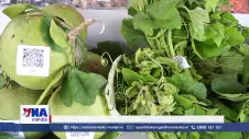 Sức sống mới từ chuyển đổi số ở vùng đất cực Nam Tổ quốc
