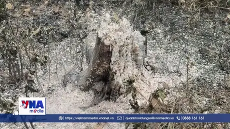Nắng nóng cực đoan, Đắk Lắk nỗ lực phòng chống cháy rừng