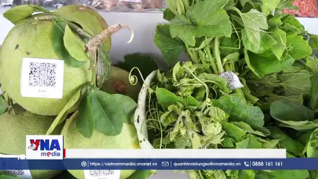 Sức sống mới từ chuyển đổi số ở vùng đất cực Nam Tổ quốc