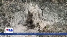 Nắng nóng cực đoan, Đắk Lắk nỗ lực phòng chống cháy rừng